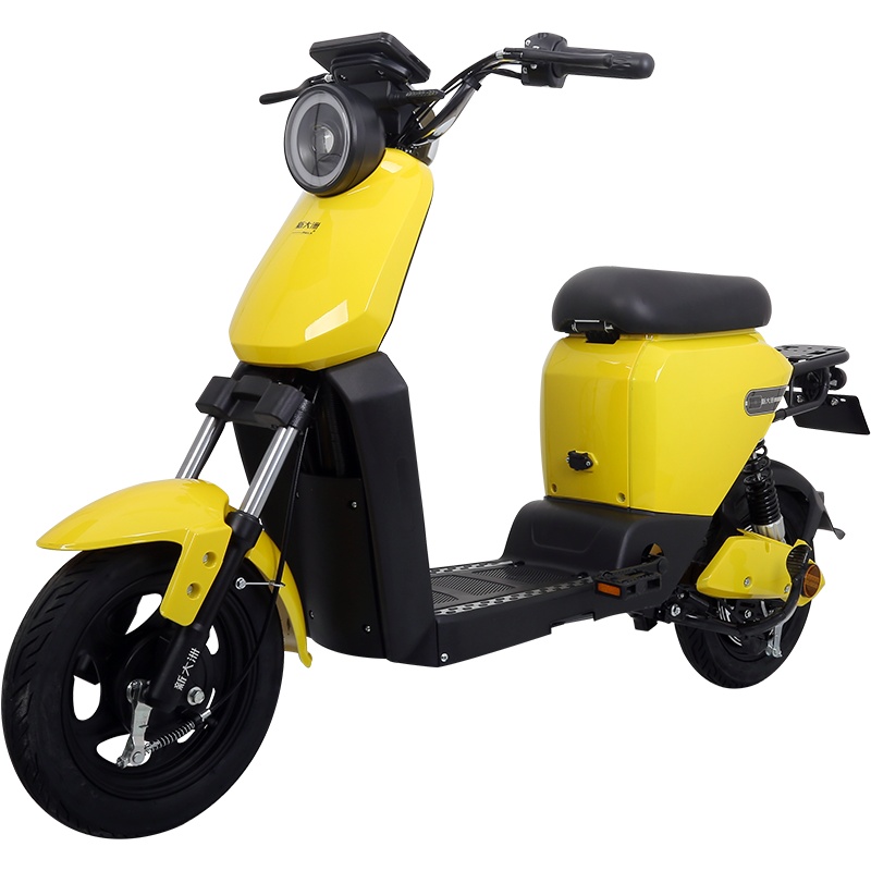 新大洲电动车 PALLA新国标电瓶车48V14AH锂电池电动自行车 B2