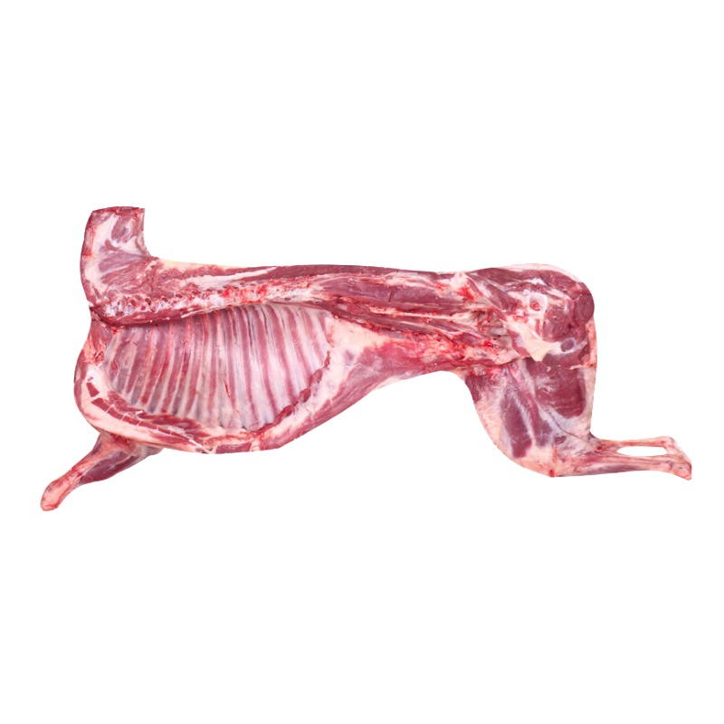 伊为乐 宁夏盐池滩羊 半羊17斤/只 烤全羊 烧烤羊排 火锅 烧烤食材 口感鲜美无膻味 半只羊17斤