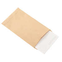 递乐 5号牛皮纸信封袋票据工资袋 牛皮纸邮局标准信封100个/包 4605