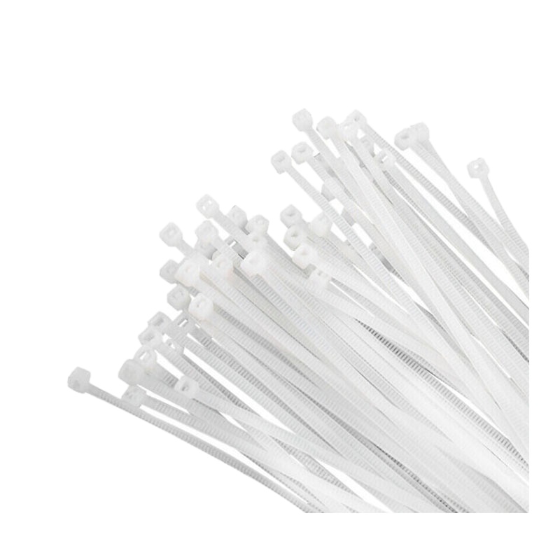 齐鲁安然 QL-QJD-01 不锈钢嵌片尼龙扎带 5×300 100根