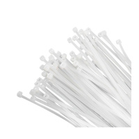 齐鲁安然 QL-QJD-01 不锈钢嵌片尼龙扎带 5×300 100根