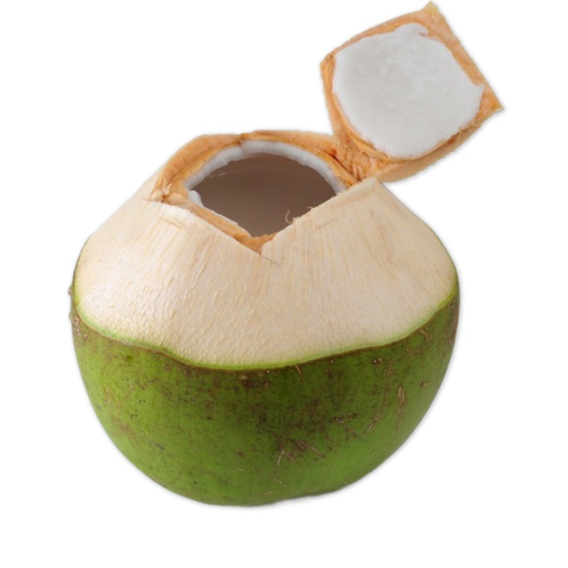 海南特产新鲜椰子 超大带皮椰青 青椰嫩椰子 孕妇水果 2个装现摘海南带皮椰青新鲜青皮椰子现摘青椰孕妇水果海南特产