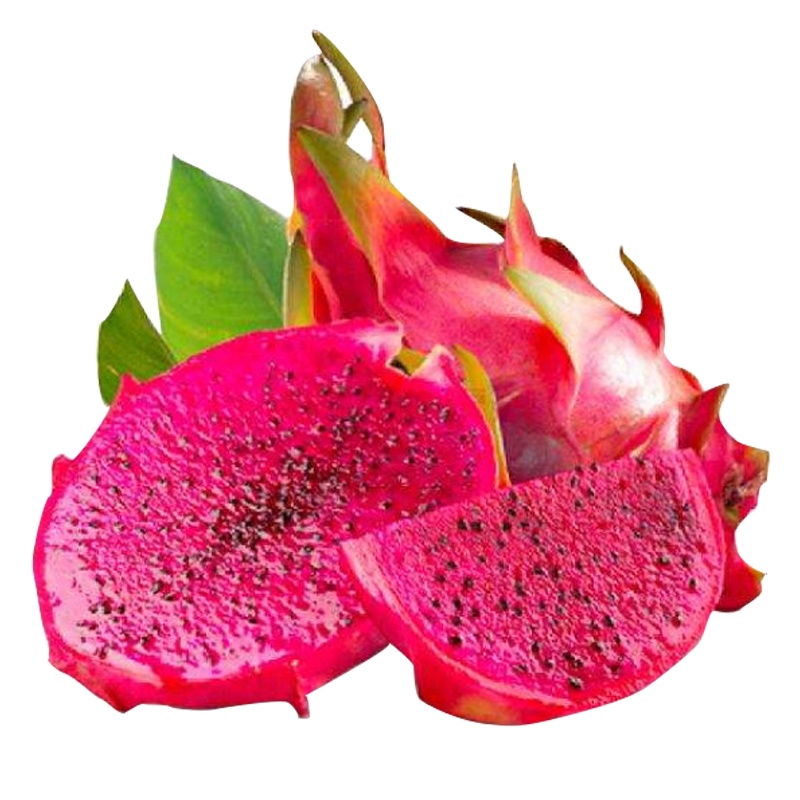 采缇(CAITI)广西红心水果金都一号蜜宝红心火龙果大果新鲜红绣球采摘产地直发水果