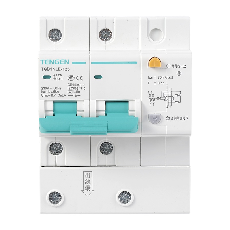 天正电气 TGB1NLE-125 2P C 100A 6KA AC230V 01070210043 微断漏电保护