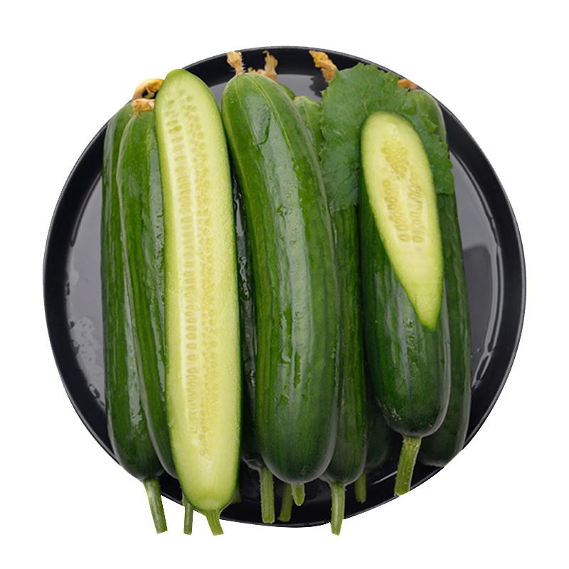 山东水果黄瓜 新鲜蔬菜 5斤装
