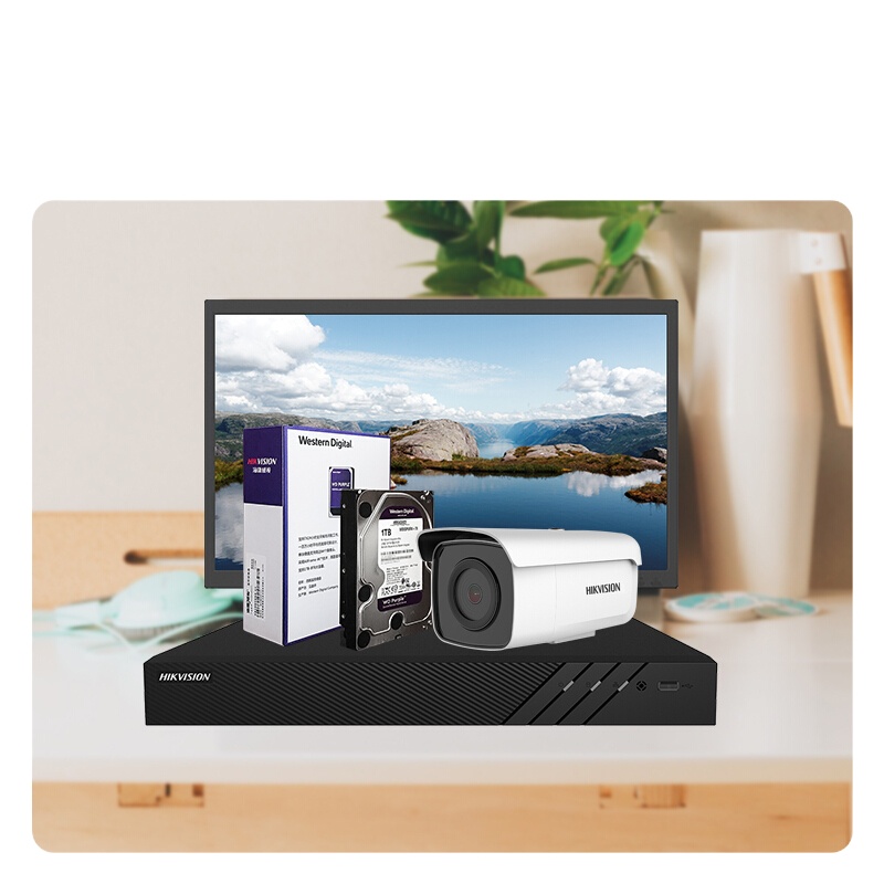 海康威视硬盘 西部数据 WD 监控硬盘 紫盘4TB 监控设备套装配件 录像机专用监控硬盘 WD40PURX