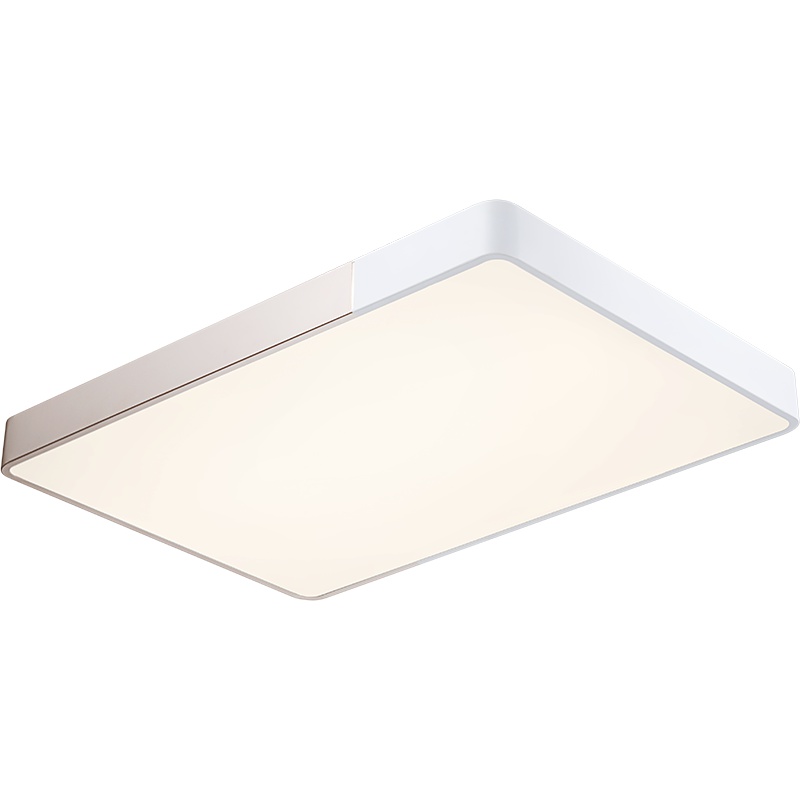 雷士照明(NVC)LED吸顶灯 长方形客厅灯简约现代卧室灯走廊过道灯吊灯灯具成套套餐组合三室两厅套装25-30㎡