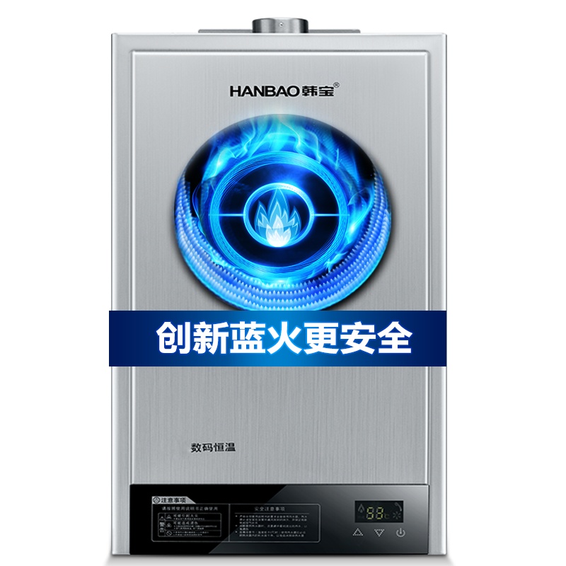 韩宝(HanBao)DSH11恒温燃气热水器 煤气热水器 液化气热水器天然气12升 液化气