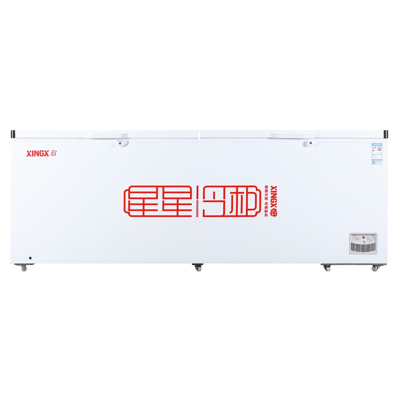 星星(XINGX) BD/BC-1098GE 厨房商用保鲜设备 975升商用冷柜 强冷冻冰柜 除霜安全门锁节能省电