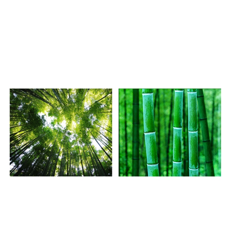 昌顺 BS4003 竹粹系列1500克本色12卷无芯卷纸 6提/件 单件装