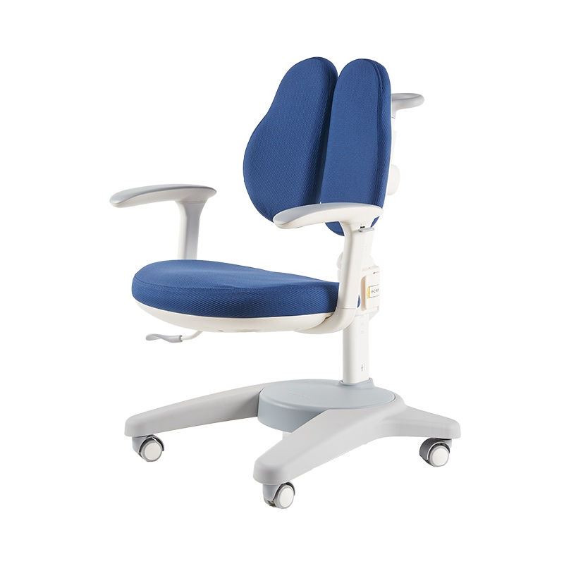 护童学习椅儿童写字椅矫正坐姿座椅学生椅子家用可升降靠背椅CH11/CH22