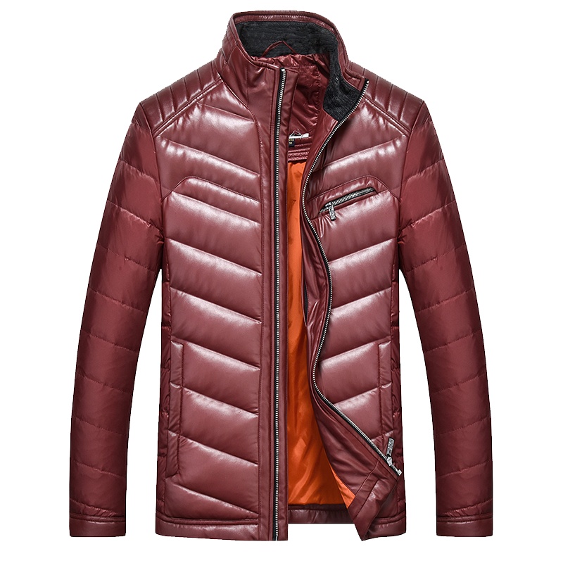 雅鹿男装羽绒服男新品时尚修身立领短款羽绒服4N103