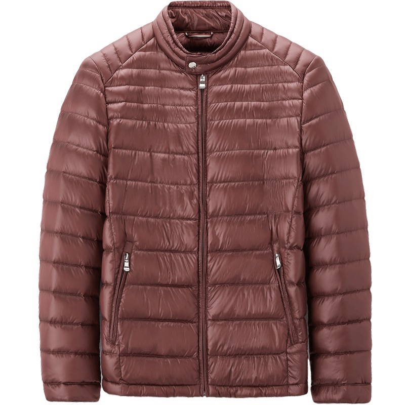 海一家男装2019冬季带扣立领多色可选拉链口袋短款羽绒服男