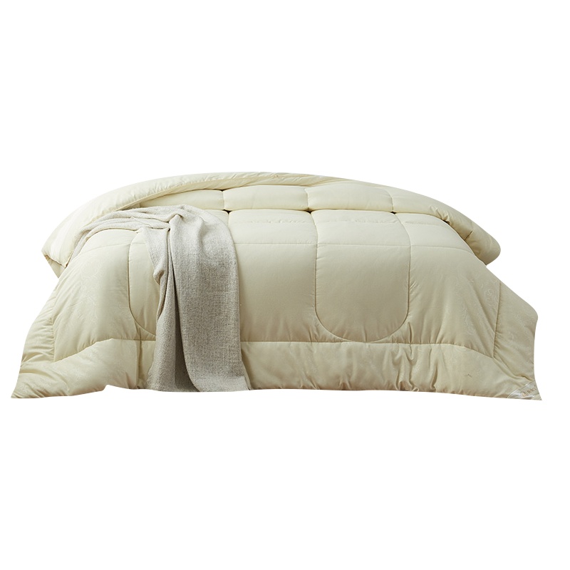 睡康宁(ShuiKangNing)暖芯被冬天加厚保暖棉被冬季双人被芯羽绒被空调被褥冬季