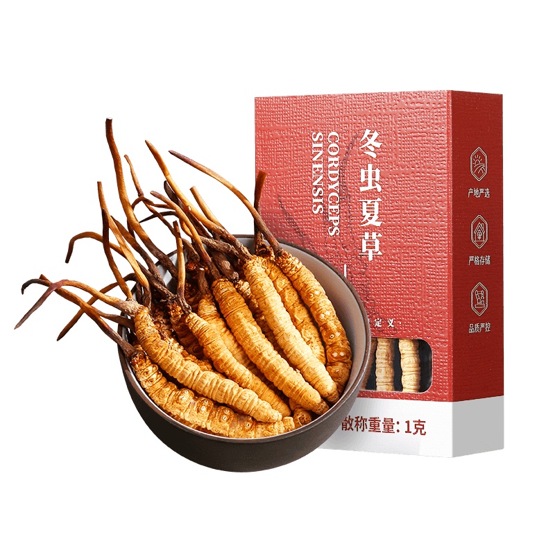 1克5根/克 杞里香冬虫夏草正品青海虫草干货无断草礼盒包装酒官方旗舰店