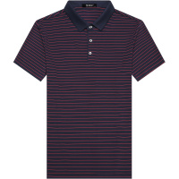 恒源祥夏季新款无痕工艺条纹翻领Polo衫 中年休闲短袖T恤男