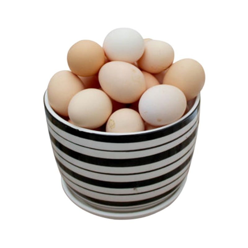 农家山上散养鸡蛋20枚 新鲜自养柴鸡蛋笨鸡蛋草鸡蛋 勇利全蛋类 偶数发货