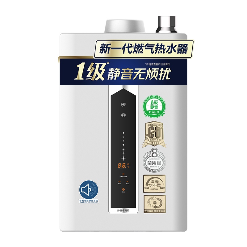 [告别噪音]AO史密斯热水器 燃气热水器天然气16升 JSQ31-ESCX 家用恒温强排式 自营天燃气灰色告别噪音防CO