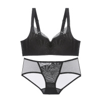 都市丽人蕾丝刺绣薄杯胸罩内衣上托收副乳软钢圈聚拢文胸套装DB8606