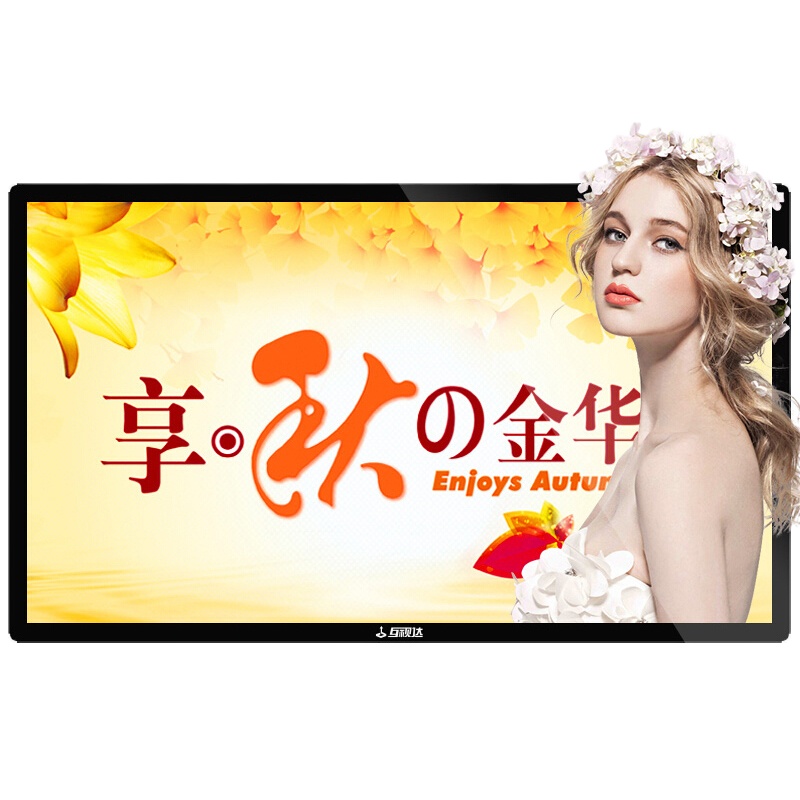互视达 LY-6501 65英寸壁挂广告机网络版非触控 黑色(单位:台)
