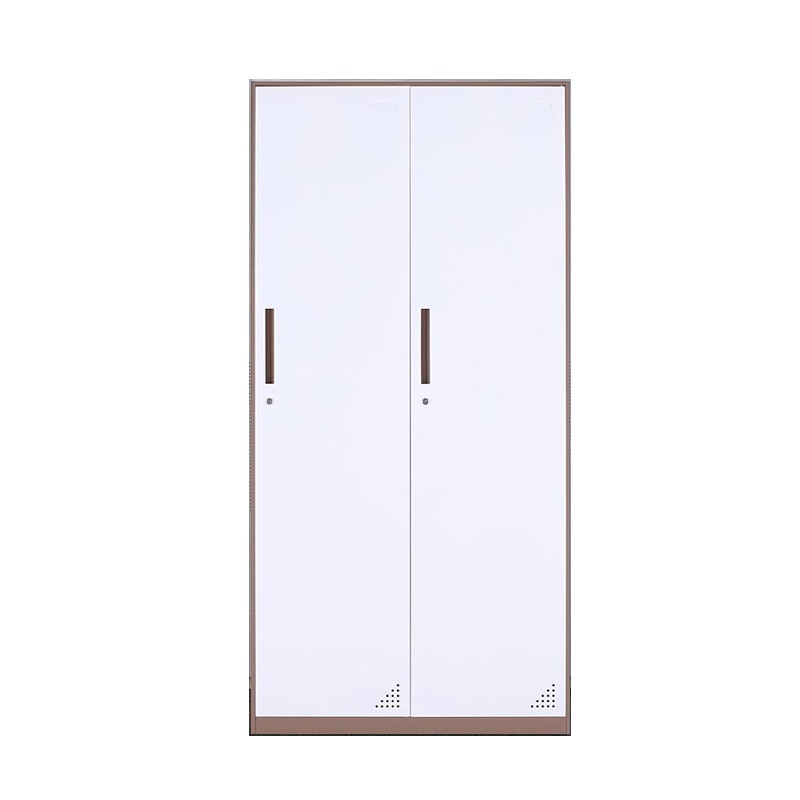 东港家具 窄边套色钢制加厚员工铁皮更衣柜储物寄存包鞋柜泳池车间职工宿舍浴室换衣柜多门带锁柜灰白色可定制 窄边二门更衣柜