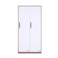 东港家具 窄边套色钢制加厚员工铁皮更衣柜储物寄存包鞋柜泳池车间职工宿舍浴室换衣柜多门带锁柜灰白色可定制 窄边二门更衣柜