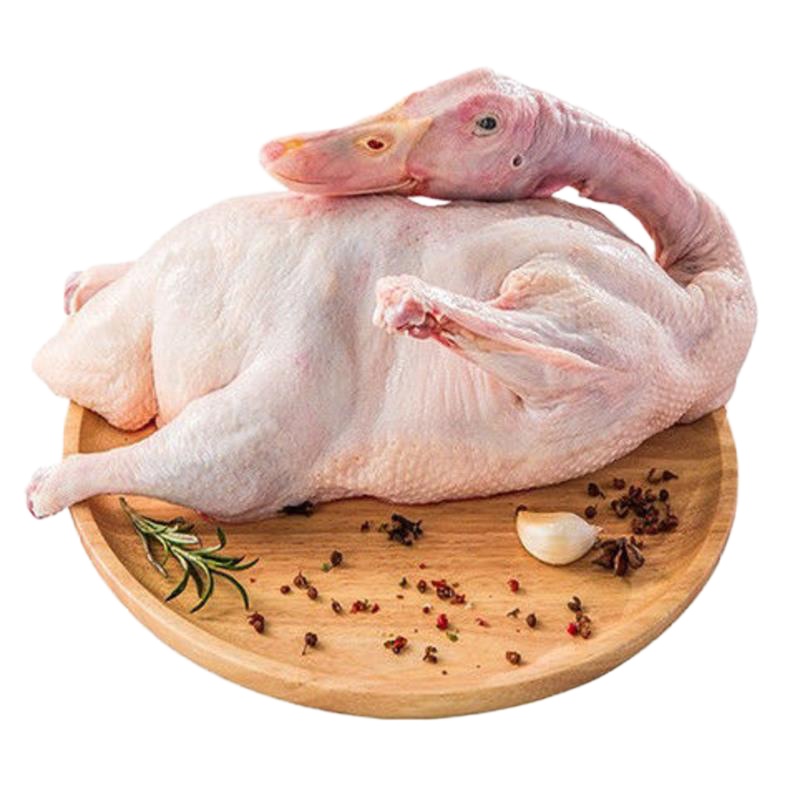 一只鲜鸭[每只2-2.5斤] [现杀现发]正宗农村散养土鸭肉类老鸭麻鸭肉鸭新鲜鸭子鸭腿自养