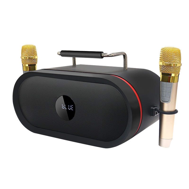 RHM 皇马K666K歌音响音箱家庭KTV无线话筒低音炮户外便携式手提蓝牙播放器 带双麦