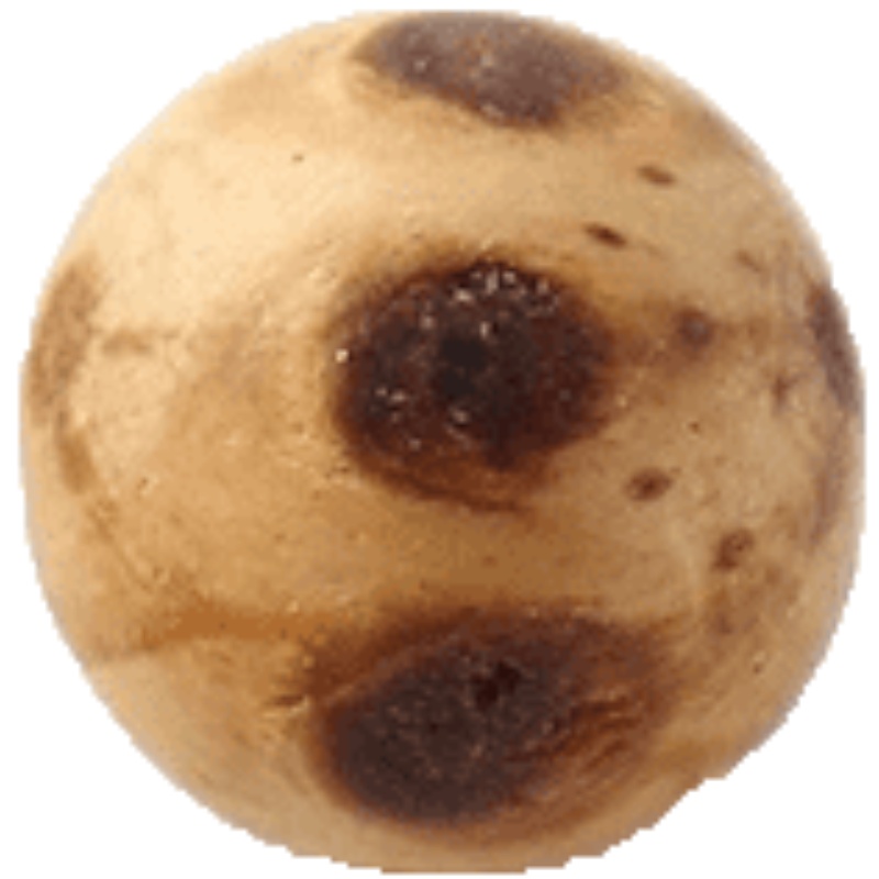 家柏饰(CORATED)衣厨樟脑丸球衣柜驱虫除味香薰球香木球防蛀防虫块樟防潮