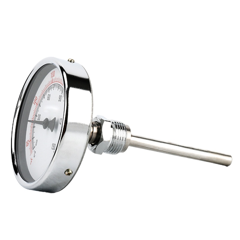 双箭温度计100mmDN20 定做1个