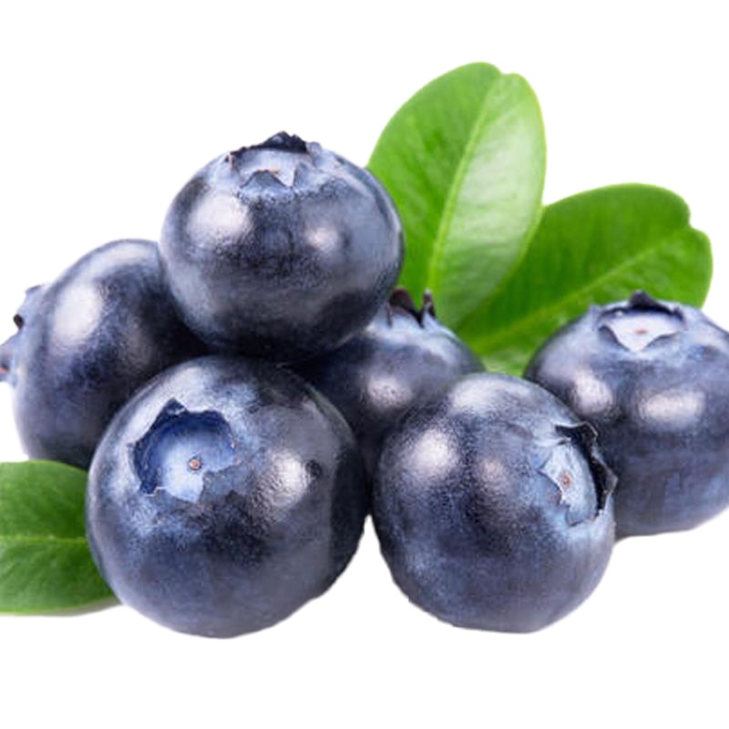 新鲜水果 辽宁丹东蓝莓(特级)840g/箱 (140g*6盒) GDNJ