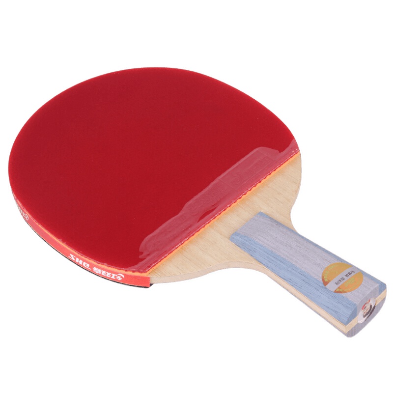 红双喜DHS六星级乒乓拍比赛训练横直拍成品拍