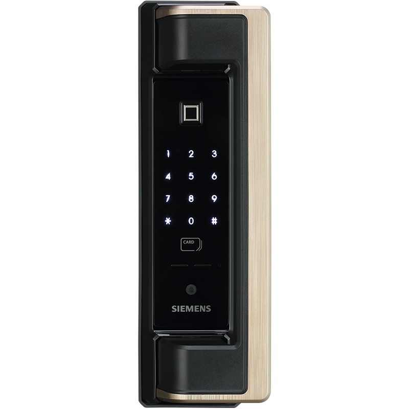 西门子(SIEMENS)指纹锁智能锁家用防盗门锁C620别墅大门装饰锁