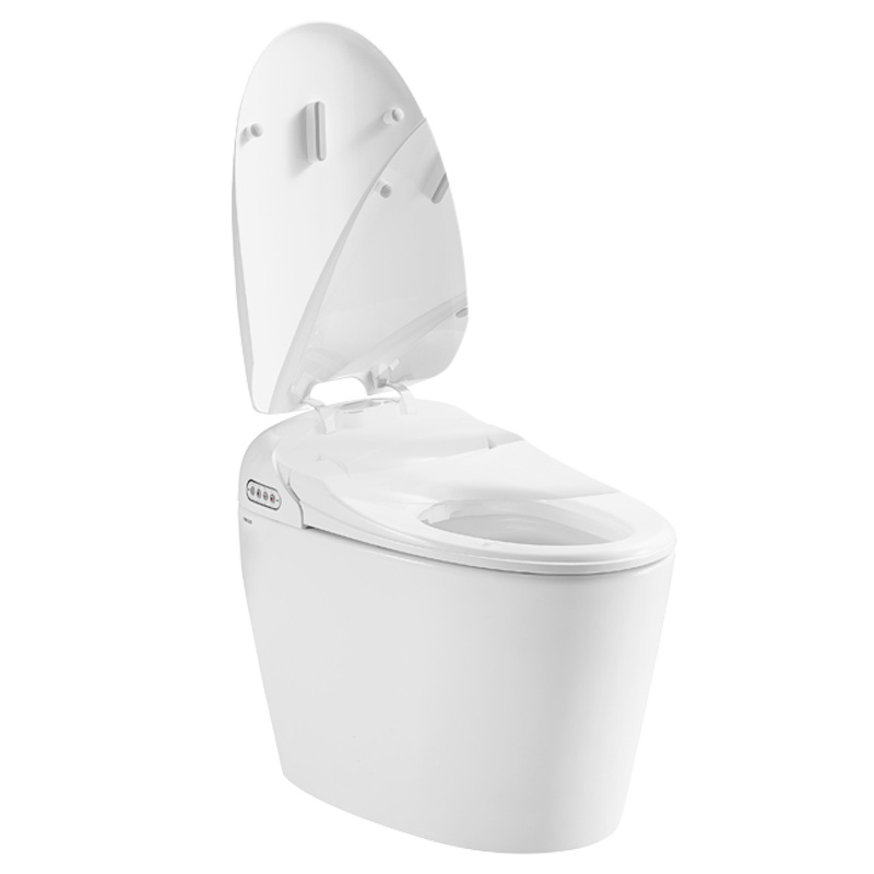 法恩莎卫浴智能马桶虹吸式家用烘干多功能FB16163-2自动智能坐便器