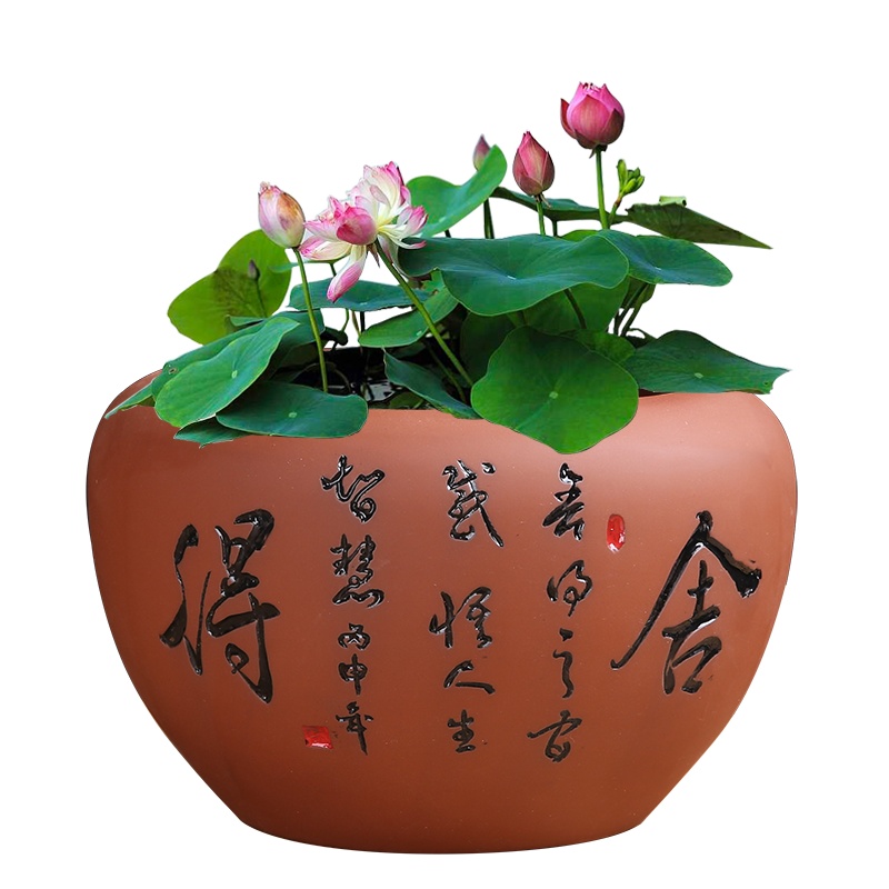 紫砂水培花盆创意铜钱草碗莲水仙花盆陶瓷清仓盆景水养无孔