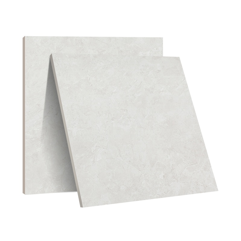 鹰牌 瓷砖地板砖 全抛釉客厅地砖 卫生间仿古砖瓷砖800*800 路西灰