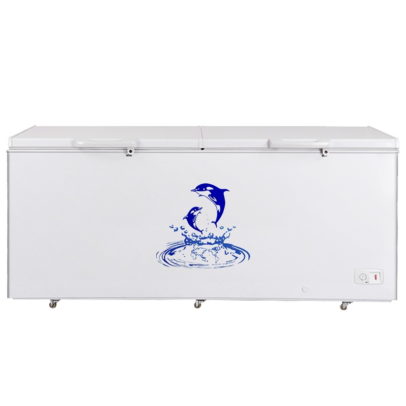 澳柯玛(AUCMA) BC/BD-535HDNE 535升-36℃度家用商用大容量冷柜饭店后厨冷冻断电保温带门锁