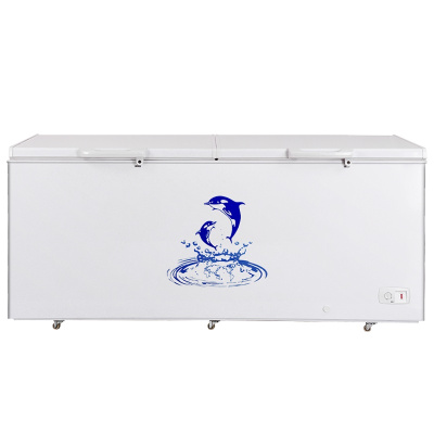 澳柯玛(AUCMA) BC/BD-535HDNE 535升-36℃度家用商用大容量冷柜饭店后厨冷冻断电保温带门锁