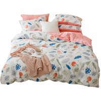 绘窝(HuiWo)家纺 棉加法莱绒卡通ins系列四件套床笠床单款