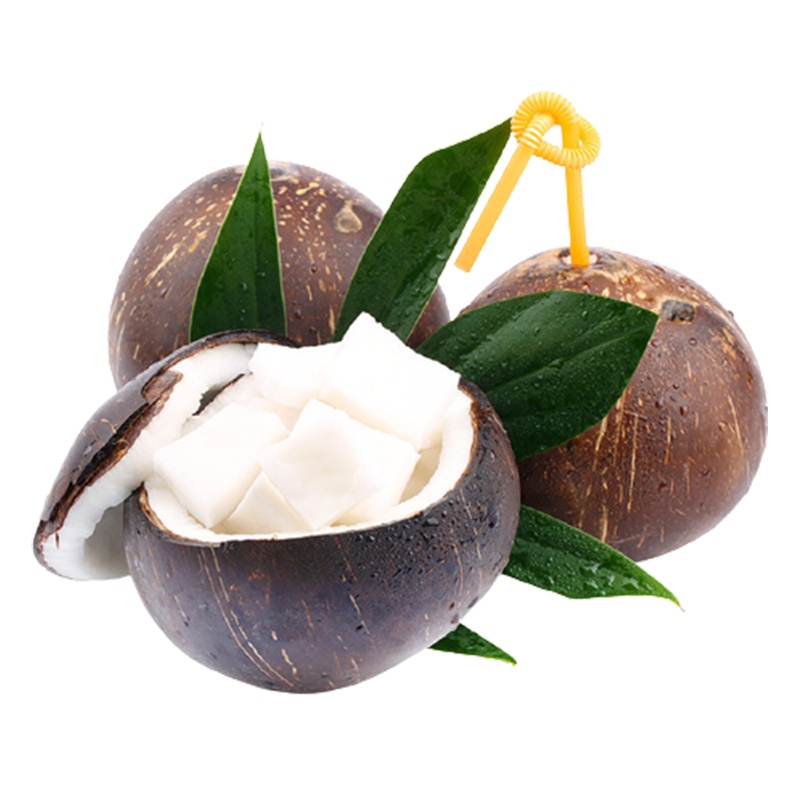 [西沛生鲜]海南小椰皇 热带特产 老椰子 6个装 黑壳椰皇 西沛