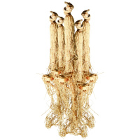 东北特产长白山特产人参1克整支装干白参生晒参 可搭配枸杞鹿茸黄芪煲汤泡酒33 非权禄东北人参片山参