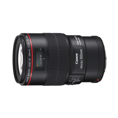 佳能(Canon) RF600mm F11 IS STM 远摄镜头 适合佳能EOS RP R R5 R6等全画幅微