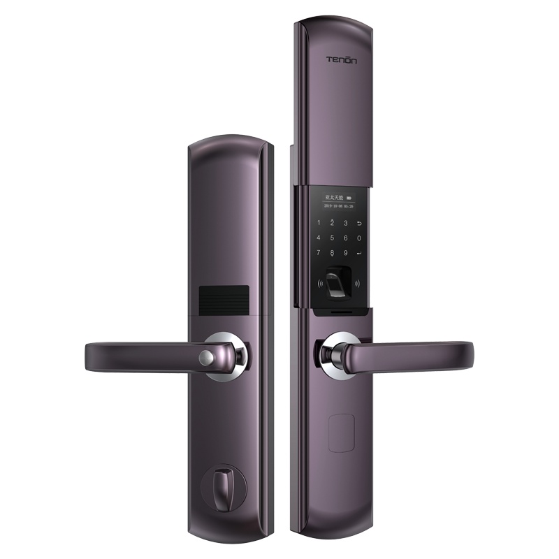 亚太天能(TENON)智能指纹锁 家用密码锁防盗门锁电子门锁铁门木门 T109 星空紫(标准版)