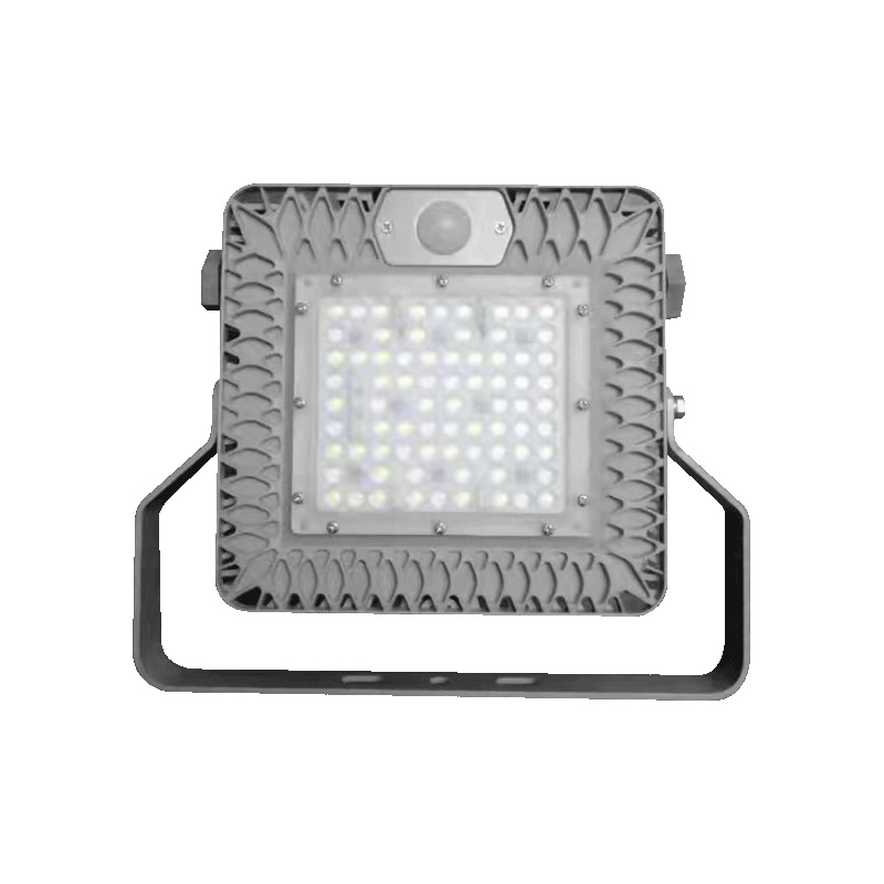 深照紫光 GF9054 LED泛光灯(新款)