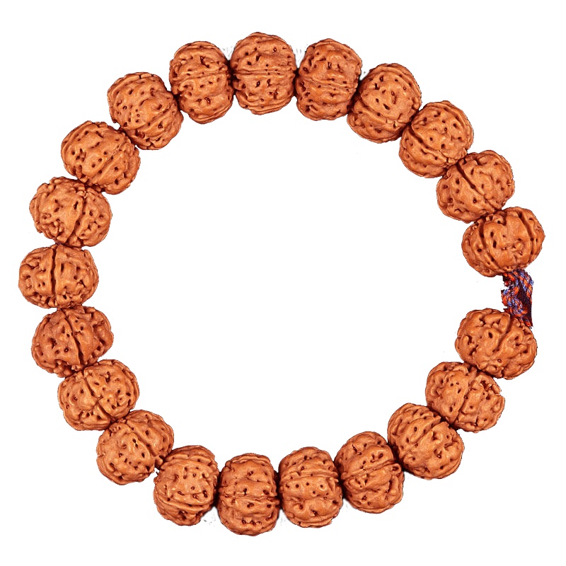 梵心阁(fanxinge)树王籽小金刚菩提手串佛珠 单圈原籽手链矮桩收藏级13-16mm 树王籽13-16mm