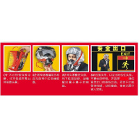 天广 TZL30(主型) 过滤式消防自救呼吸器 (计价单位:套)