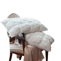 北极绒(Bejirog)家纺 80支柔赛丝95%白鹅绒扭花羽绒枕头鸭绒多功能枕酒店枕单人护颈软枕芯纯色秋季冬季