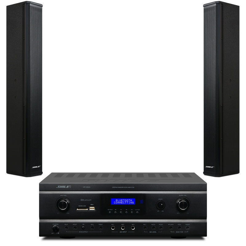 狮乐 （SHILE）专业音柱电子屏组合音箱背景音乐套装专业会议室咖啡厅展厅音响系统OK-555A+BX-408