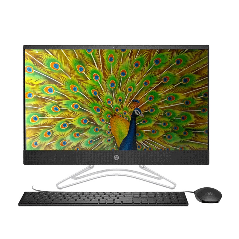 惠普(HP)小欧 24-f022bcn 23.8英寸家用商用办公一体机电脑(J5005 4G内存 1T硬盘 高性能集显)
