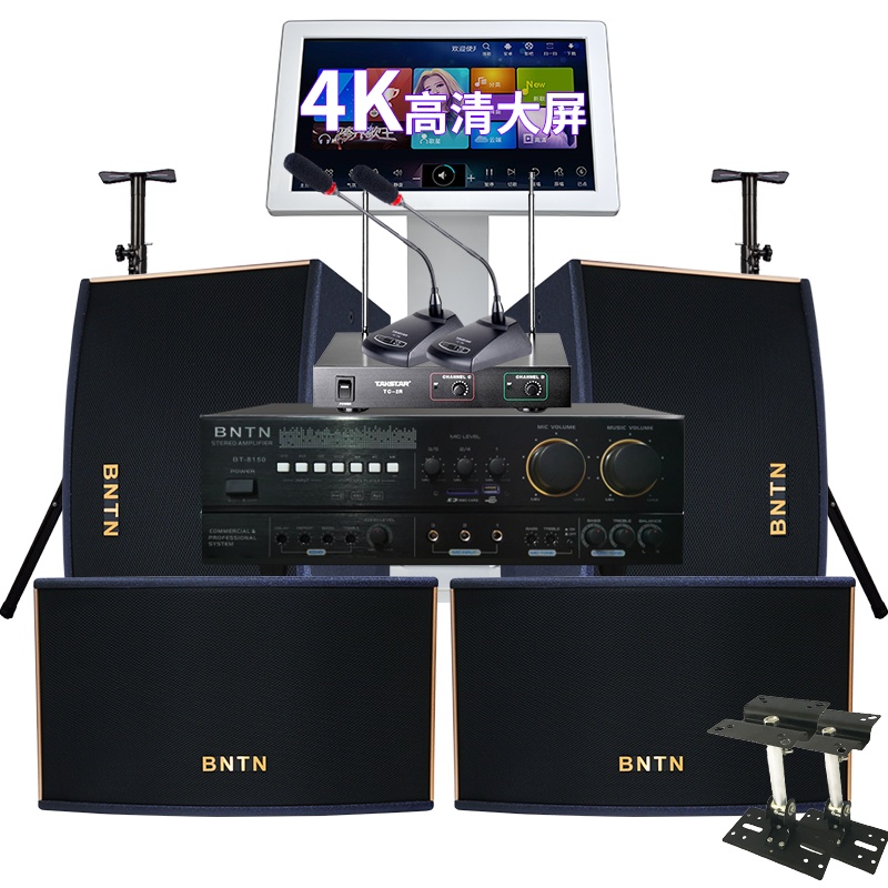 奔腾(BNTN)专业会议KTV音响一拖四全套套装家庭影院卡拉OK点歌机触屏电视舞台音箱8150配BTKT13会议鹅颈话筒